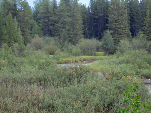 GDMBR: Swan River ecological-area and flood plain.